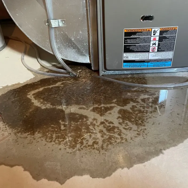 Pipe Burst and Leak Restoration in New Bloomfield, PA