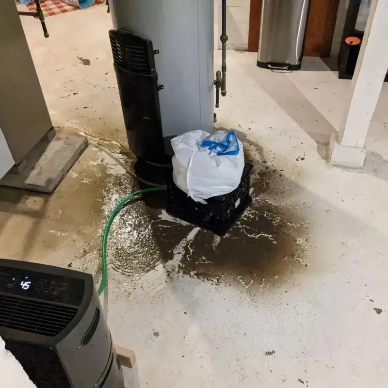 Sewage Backup Cleanup Service in New Bloomfield, PA